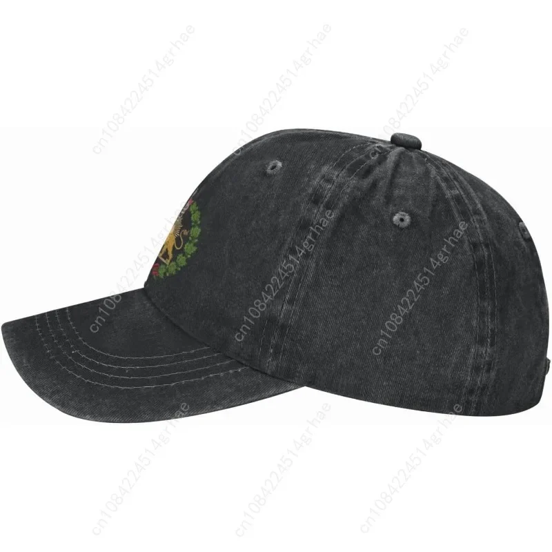 Gorra de béisbol con la bander - Golf Cap Dad reseña y precio